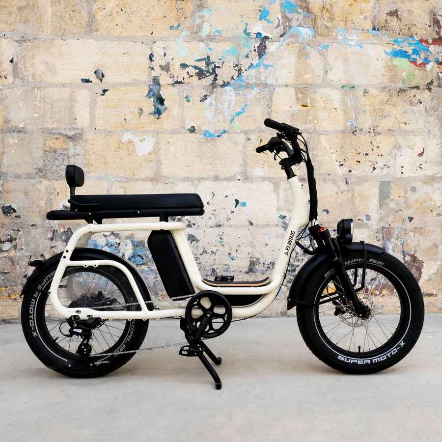 Rent or Buy a Two-Seater Electric Fatbike